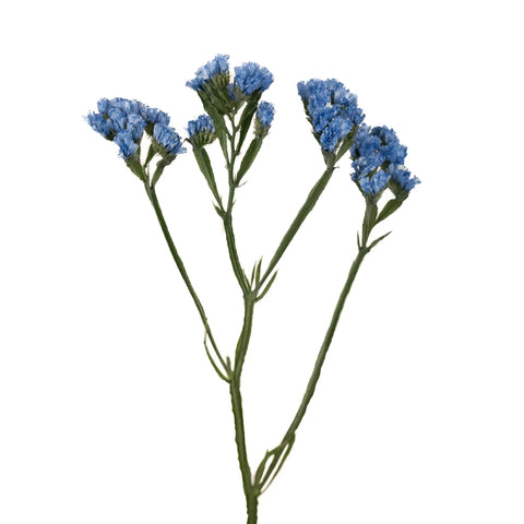 Statice Flower Jewel Blue Tinted Stem - Image