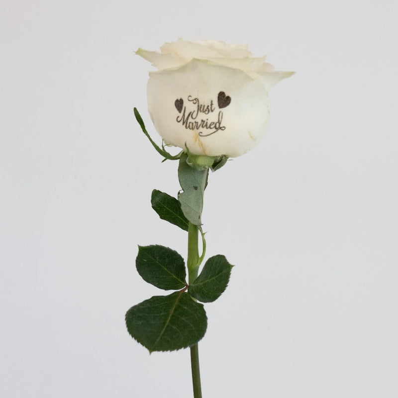 Just Married Stem - Image
