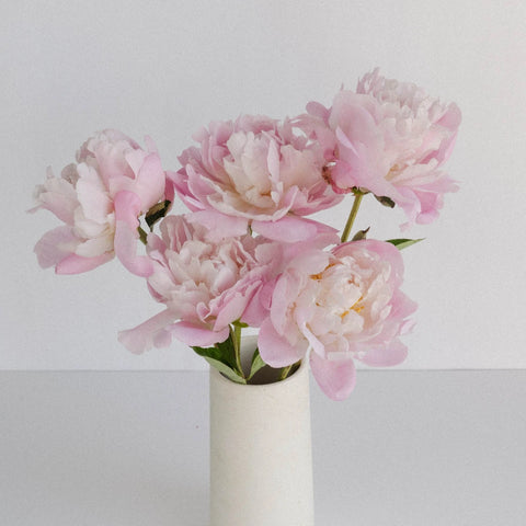 Katherina Peonies Vase - Image