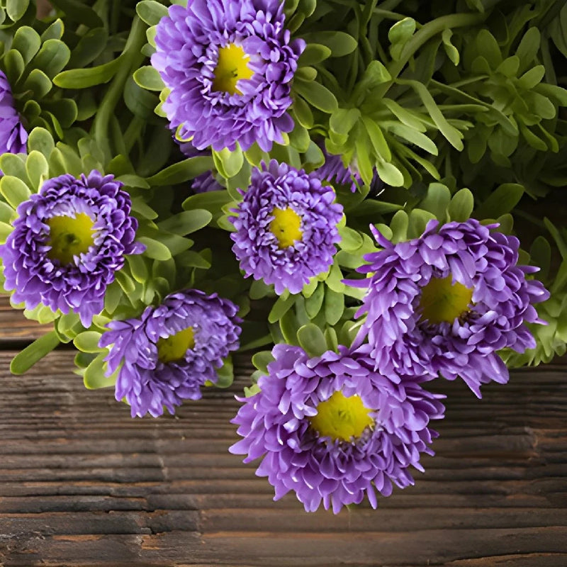 Lavender Matsumoto Flowers Close Up - Image