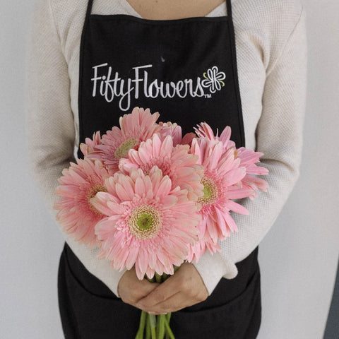 Light Pink Gerbera Daisy Apron - Image