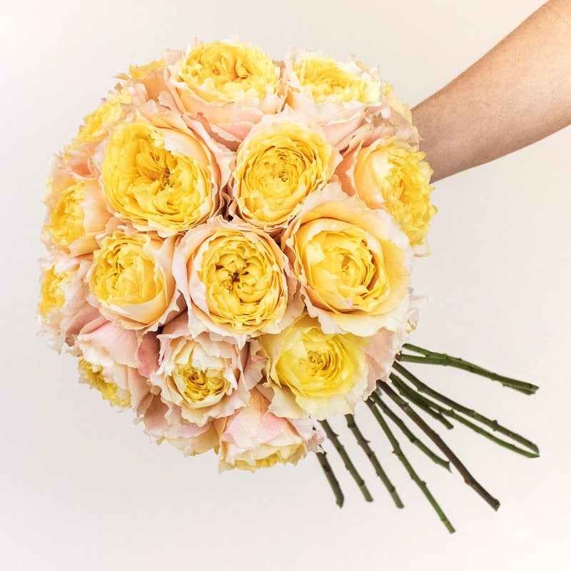 Shine On Sunset Rose Bunch in a Hand