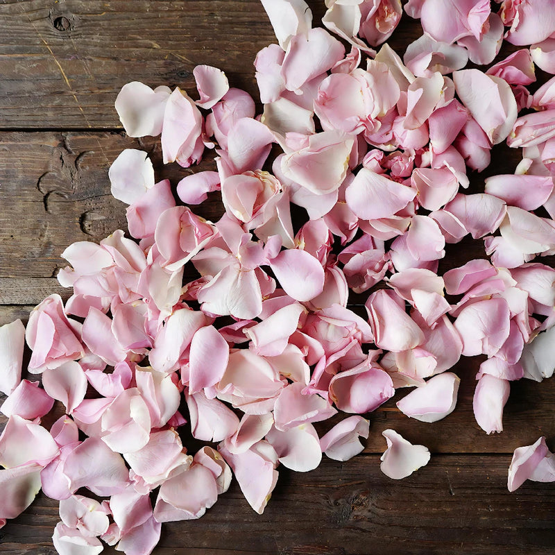 Light Pink Rose Petals for sale