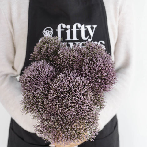 Lilac Lavender Trachelium Flower Apron - Image