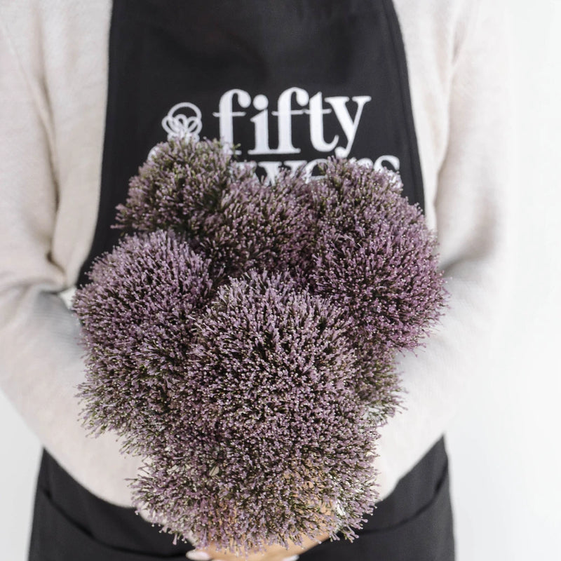 Lilac Lavender Trachelium Flower Apron - Image