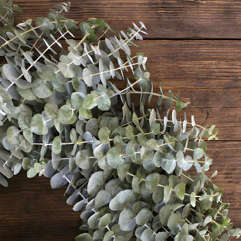 Baby Eucalyptus Wreath Delivery