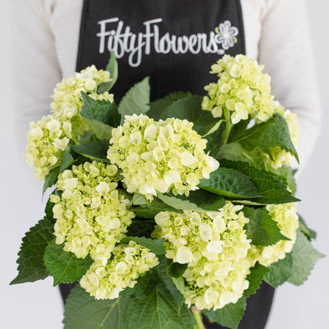 Baby Hydrangea Honeydew Green Flower Apron - Image