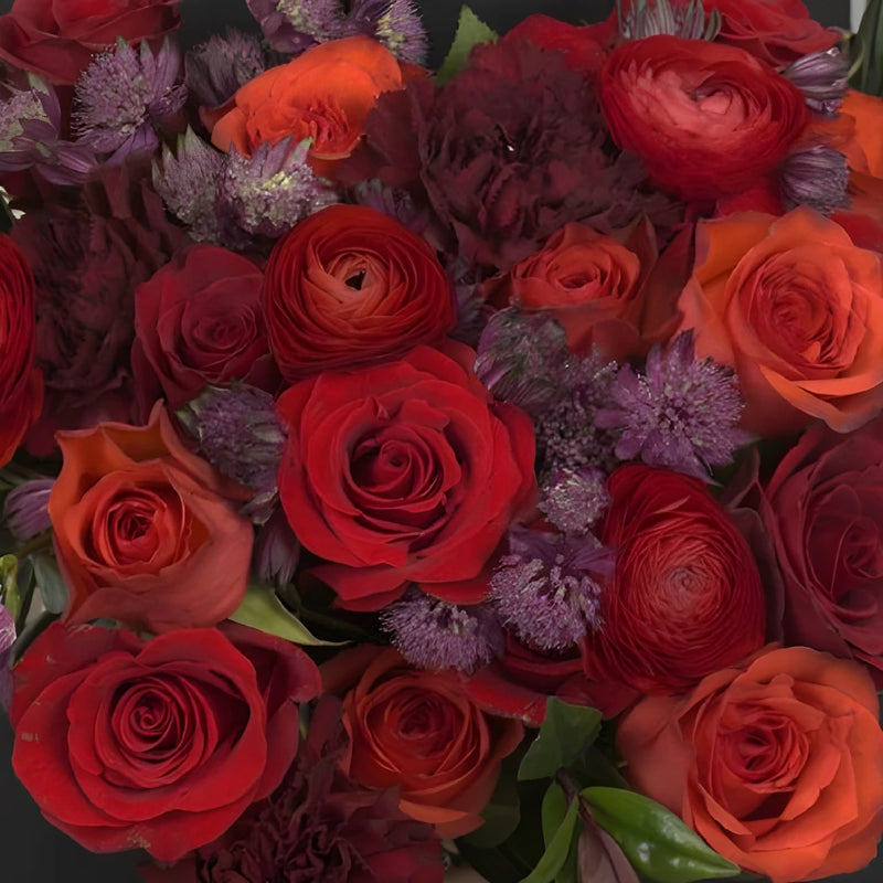 Red Agrogana Diy Flower Kit Close Up - Image