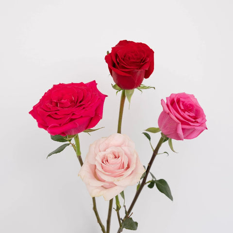 Lovely Valentines Day Rose Mix Stem - Image
