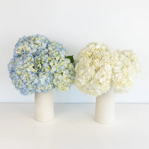Lush Garden Romance Diy Flower Combo Hand - Image