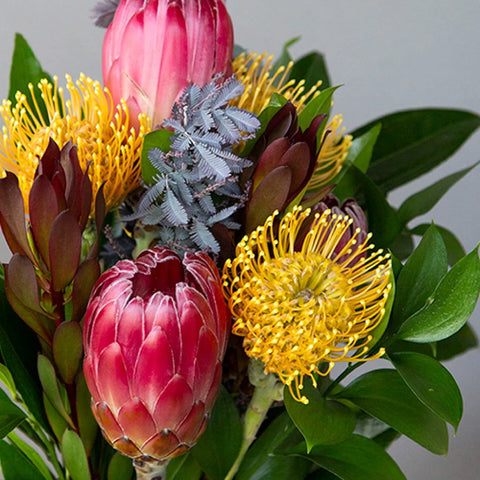 Lush Red Tropical Jungle DIY Flower Kit