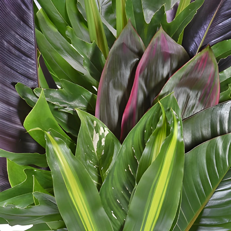Lush Tropical Greenery Centerpiece