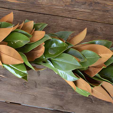 Magnolia Greenery Garland