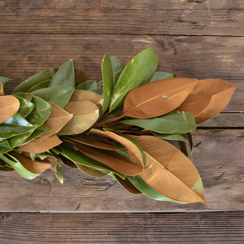 Magnolia Greenery Garland