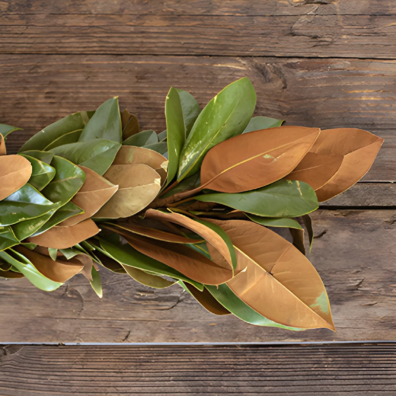 Magnolia Greenery Garland