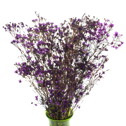 Majestic Purple Tinted Wax Flowers