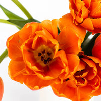 Mandarin Bliss Double Tulip Stem - Image