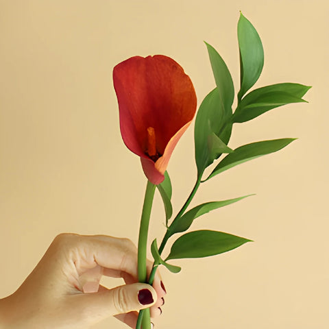 Mango Mini Calla Lily Centerpieces
