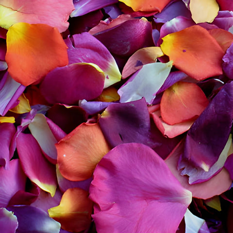 Ready for the Ball Dried Rose Petals