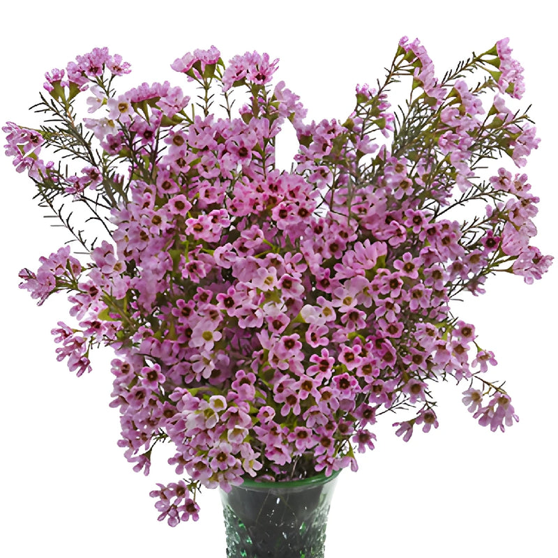 Mauve Brush Strokes Wax Flowers