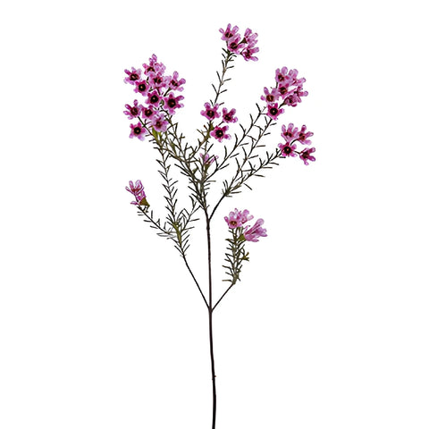 Mauve Brush Strokes Wax Flowers