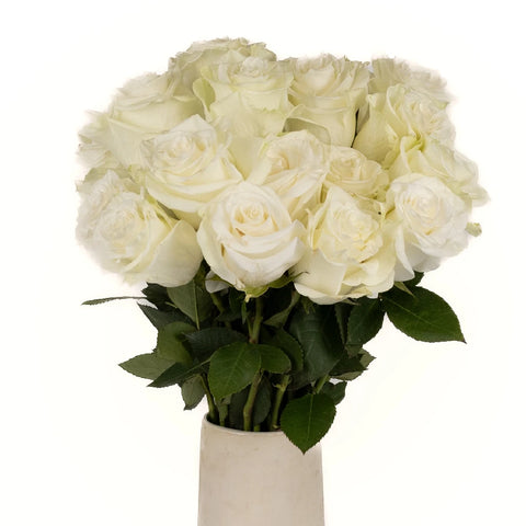 Mia Vase - Image