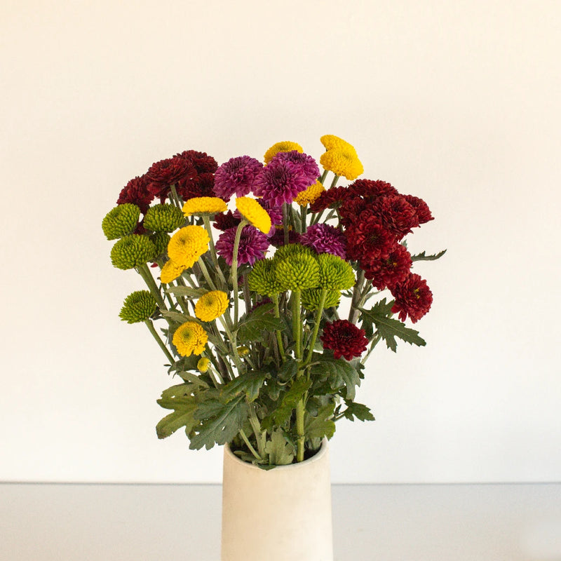 Mini Button Pom Assorted Colors Flower Stem - Image
