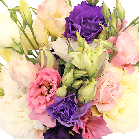 Mixed Designer Lisianthus Flower