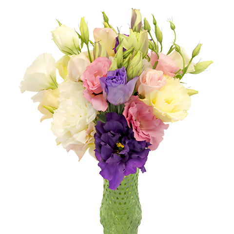 Mixed Designer Lisianthus Flower