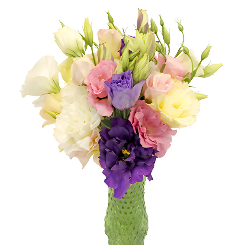 Mixed Designer Lisianthus Flower