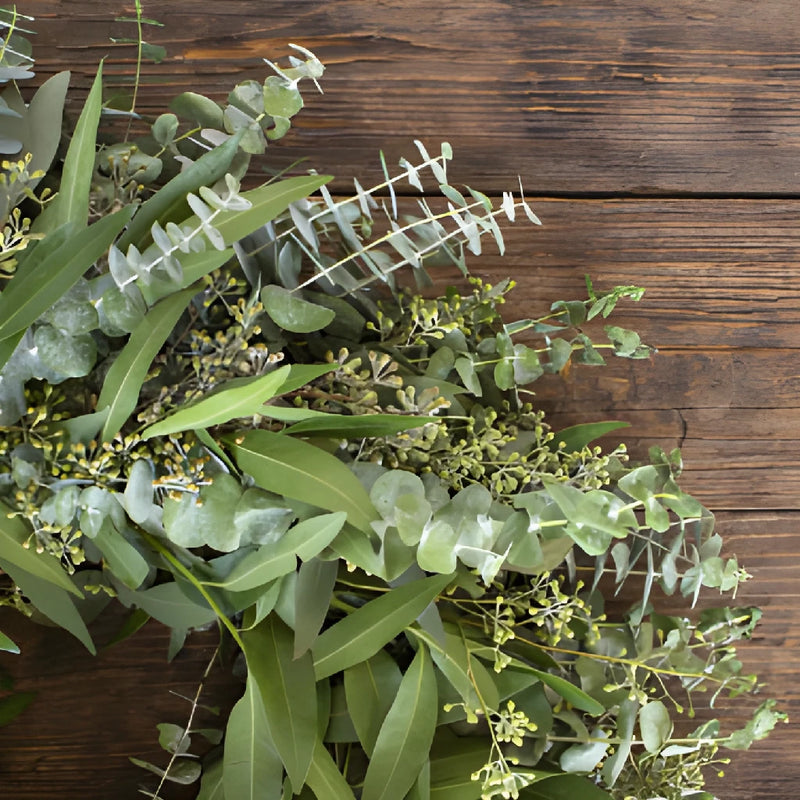 Eucalyptus and Bay Leaf Wreath Wholesale Up Close
