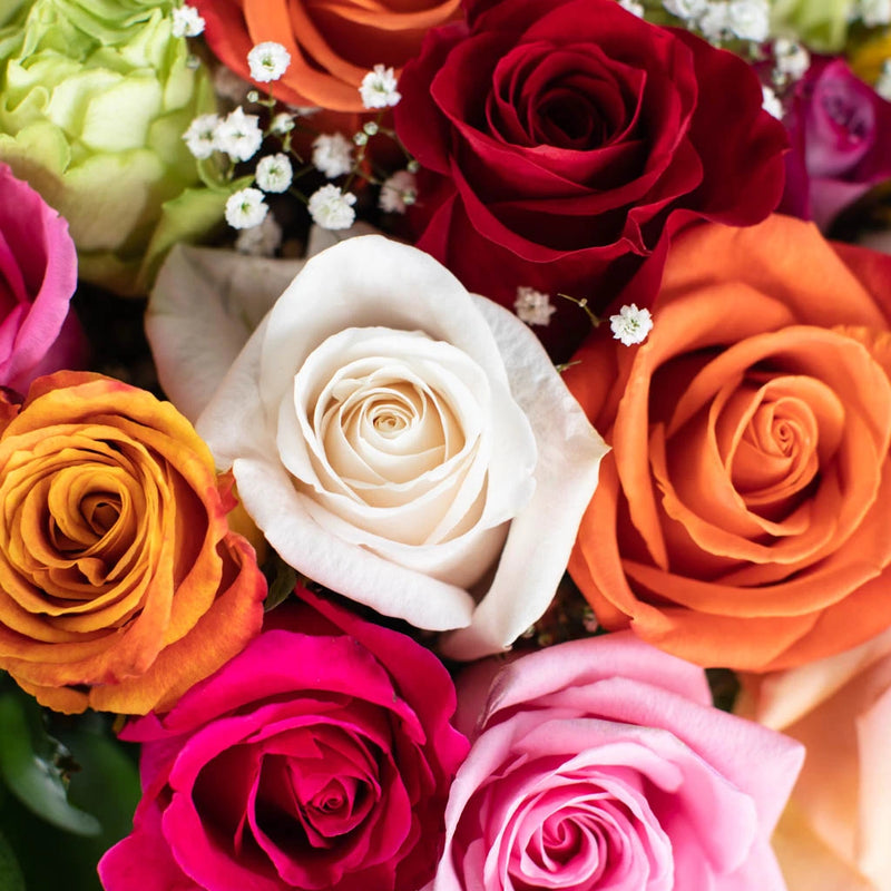 Rainbow Rose Flower Bouquet Up Close