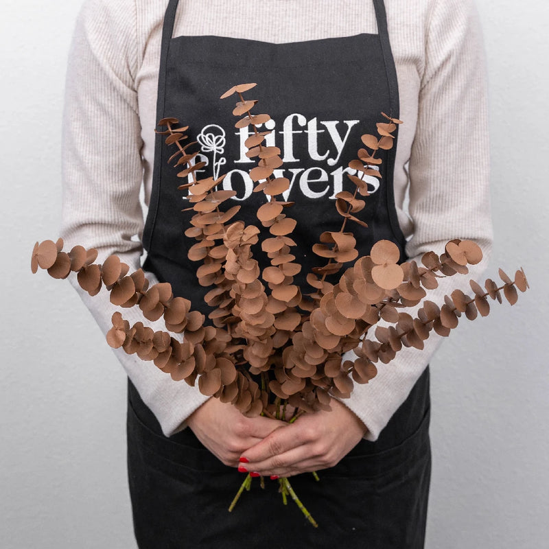 Mocha Mousse Tinted Baby Eucalyptus