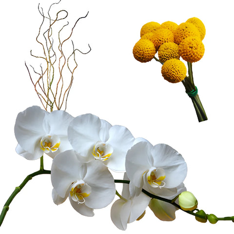 Modern Elegance DIY Flower Kit Bunch