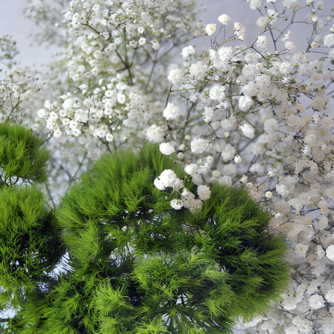 Mojito Mix DIY Flower Kit Bunch