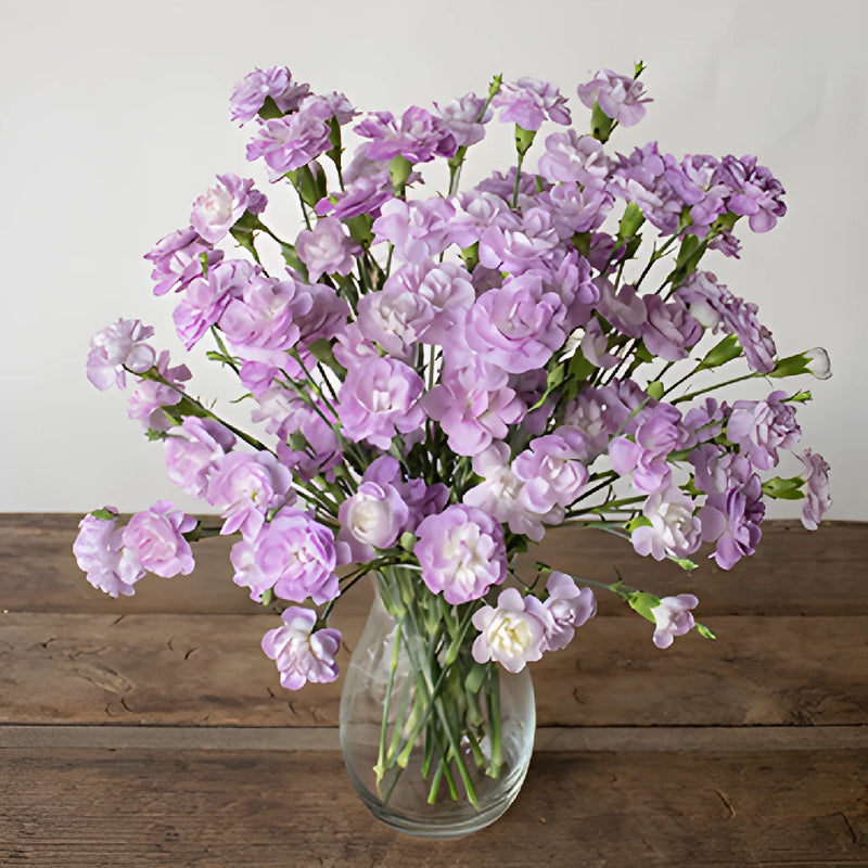 Lavender Mini Carnation Flowers In a vase