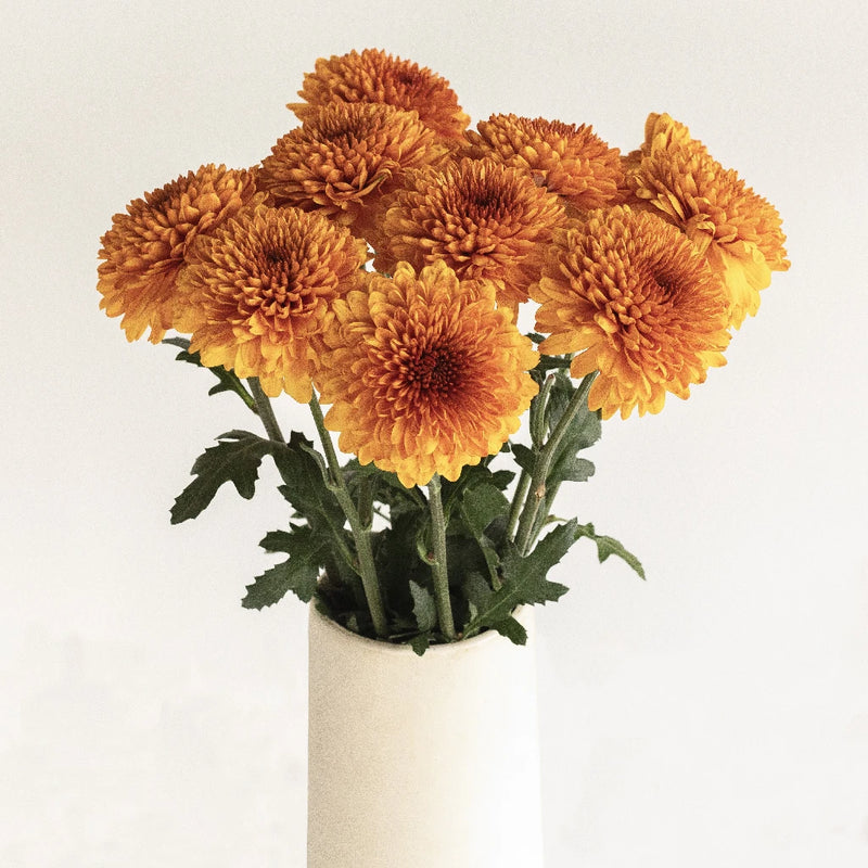 Morning Sunrise Bronze Bahlia Flower Vase - Image