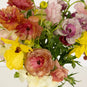 product-featured-image-6652498411682