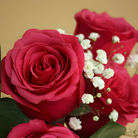 Mother's day dozen light pink rose bouquet wholesale flowers