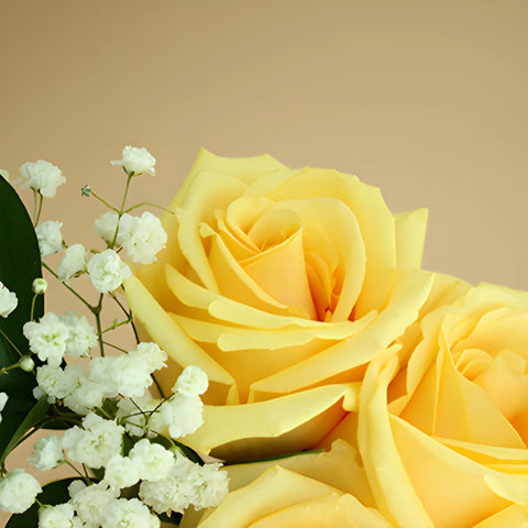 Mothers Day Dozen Rose Gift Bouquet