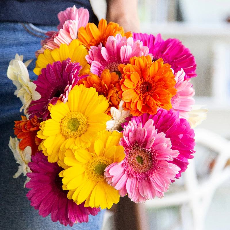 Mothers Day Gerber Daisy Flowers Stem - Image