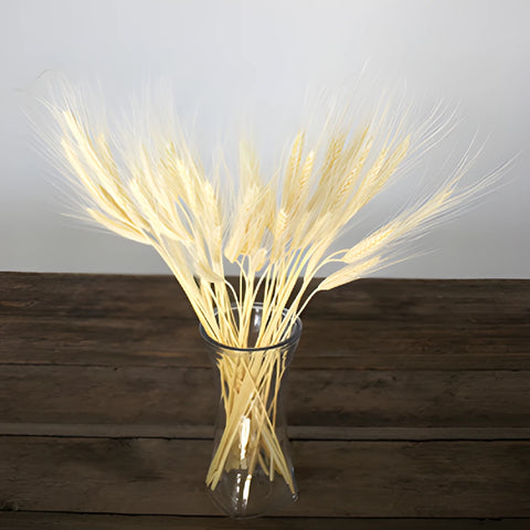 Natural Dried Boho Wheat Grass
