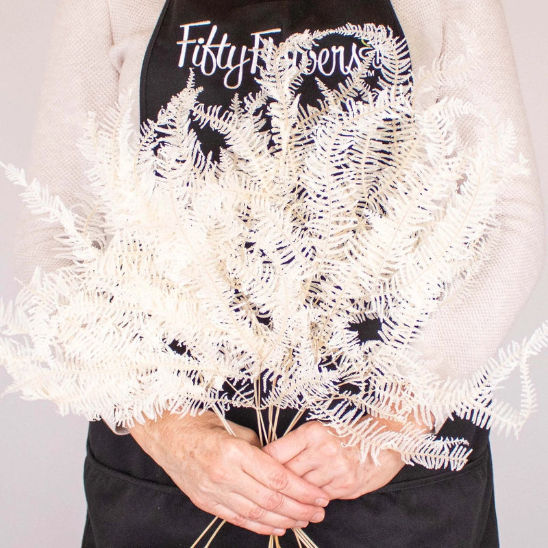 Dried Bleached Mini Fern Flower Bunch in Hand