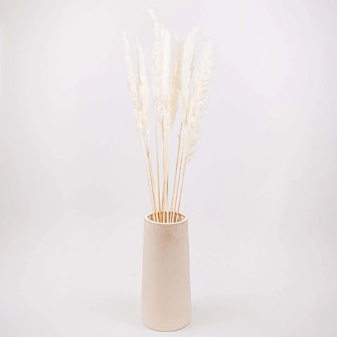 Dried Bleached Tail Reed Flower Bunch in Vase