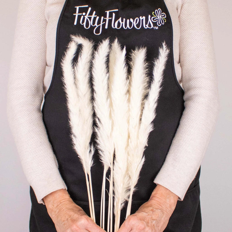 Dried Bleached Tail Reed Flower Bunch in Hand