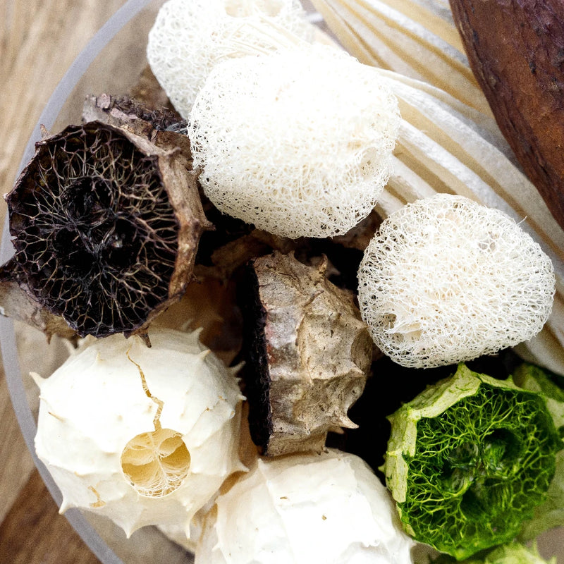 Natural Dried Tropical Pack Close Up - Image