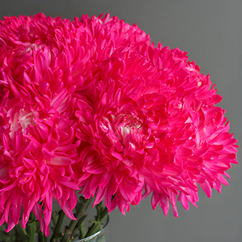 Neon Pink Tinted Football Mum Flowers