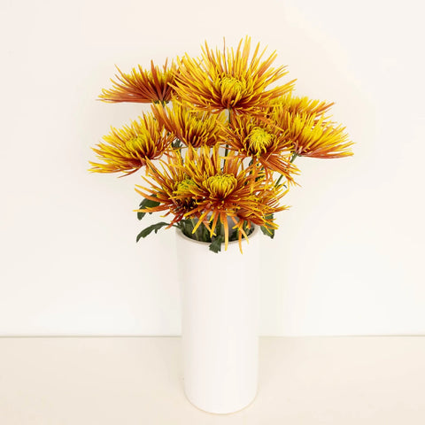 Neon Yellow Spider Mum Flowers Vase - Image