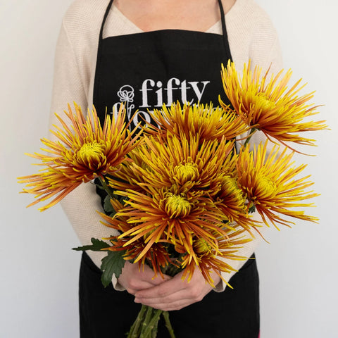 Neon Yellow Spider Mum Flowers Apron - Image