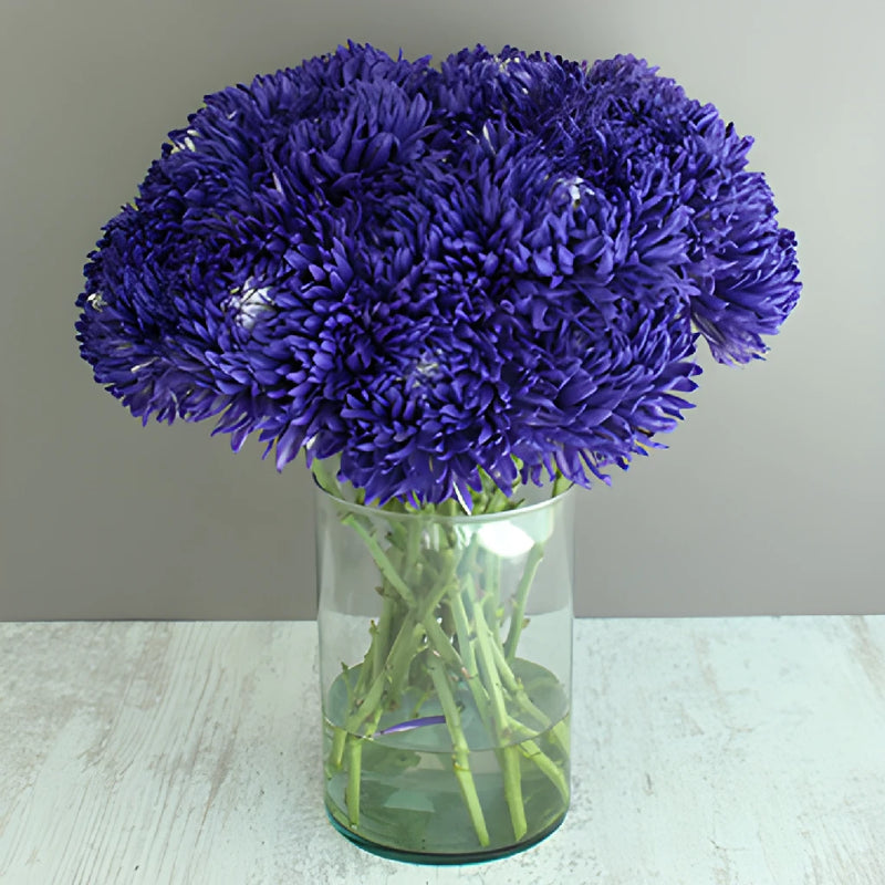 Northern Lights Purple TInted Football Mum Flowers
